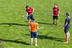 DSC_7688 (Large) Kopie (Large) (Small)