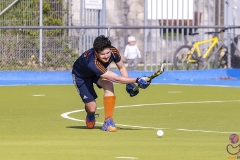 DSC_7695 (Large) Kopie (Large) (Small)