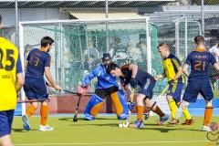 DSC_7738 (Large) Kopie (Large) (Small)