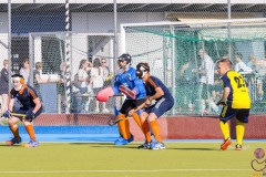 DSC_7740 (Large) Kopie (Large) (Small)