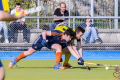 DSC_7755 (Large) Kopie (Large) (Small)