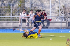 DSC_7757 (Large) Kopie (Large) (Small)