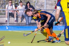 DSC_7763 (Large) Kopie (Large) (Small)